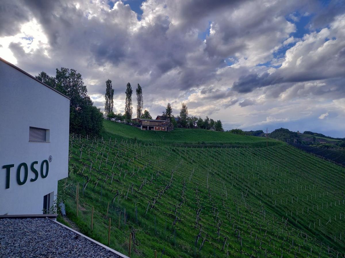 Weingut Winzerzimmer Toso Leutschach Exterior foto