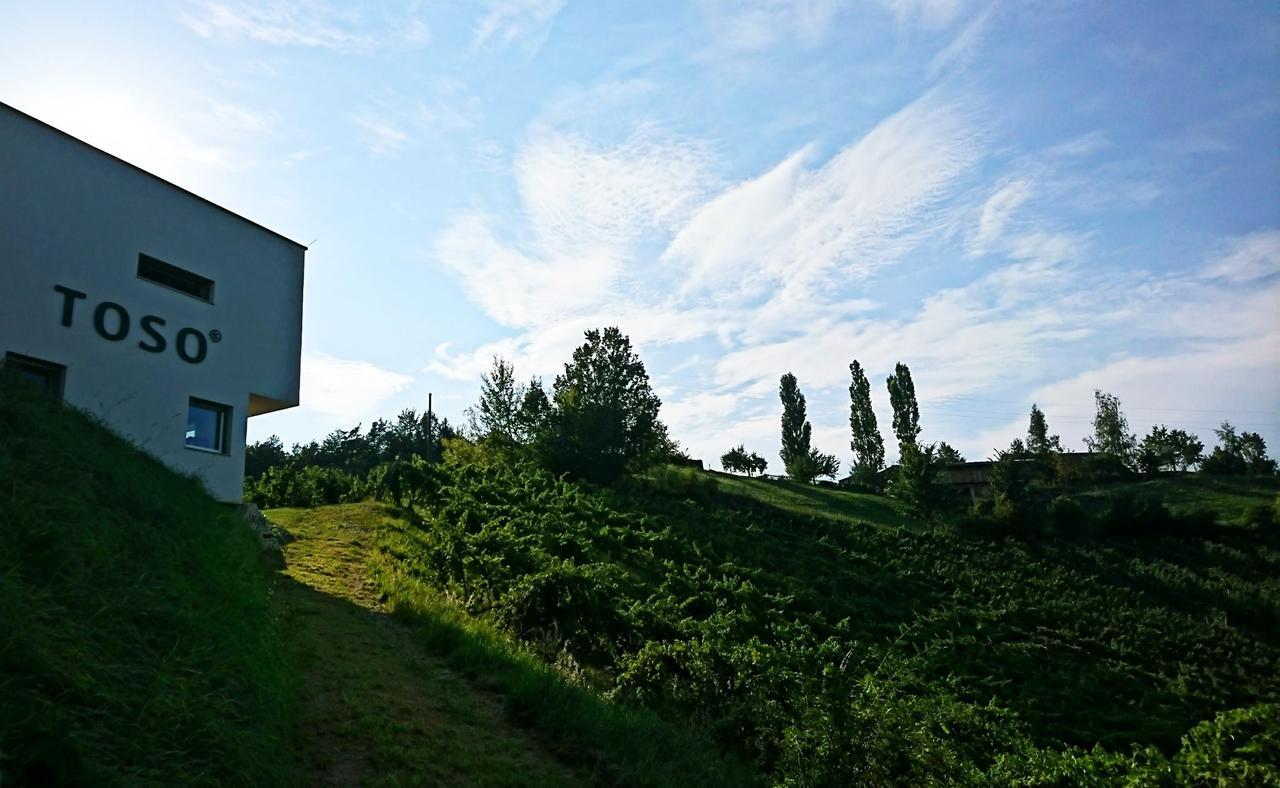 Weingut Winzerzimmer Toso Leutschach Exterior foto