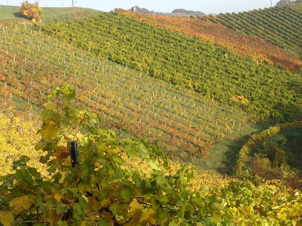 Weingut Winzerzimmer Toso Leutschach Zimmer foto